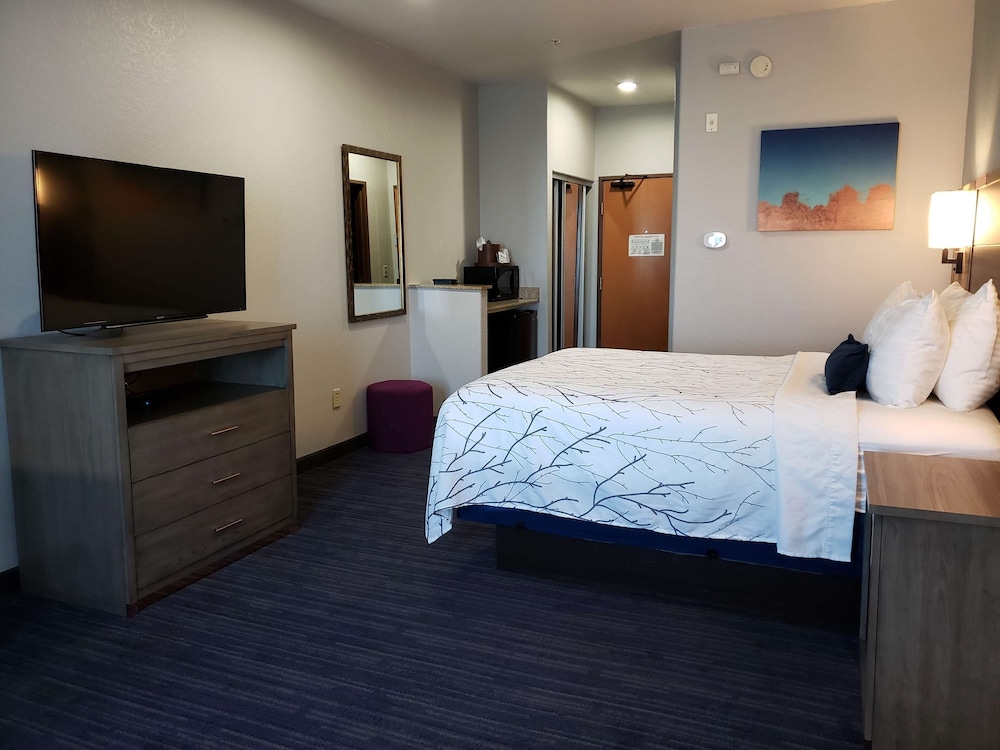 Standard Room, 1 King Bed, Accessible, Bathtub