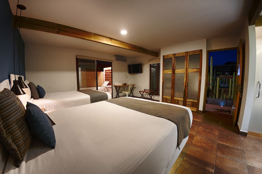 Junior Suite, 2 Double Beds, Terrace - Photo 3
