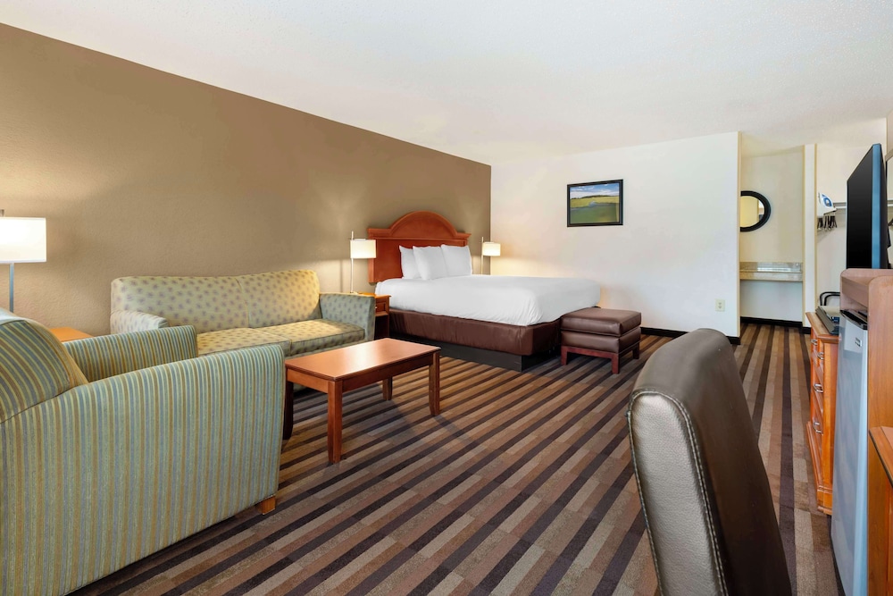 Suite, 1 King Bed, Non Smoking, Refrigerator & Microwave (with Sofabed) - Photo 1