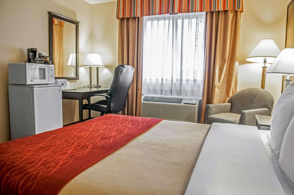 Room, 1 Queen Bed, Accessible, Non Smoking - Photo 6