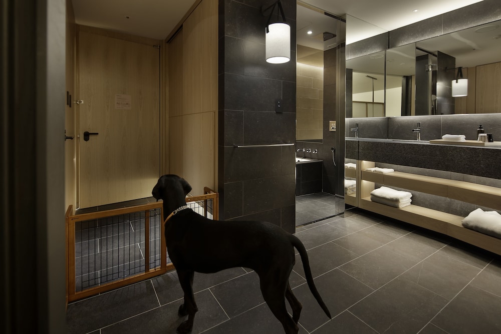 Dog-Friendly Spa Suite - Photo 2