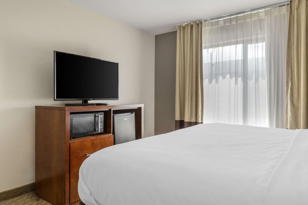 Suite, 1 King Bed, Non Smoking - Photo 5
