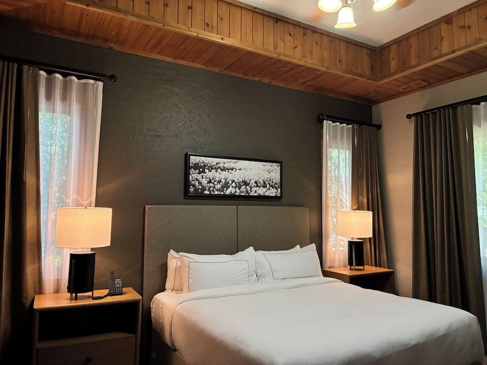 Suite, 3 Bedrooms