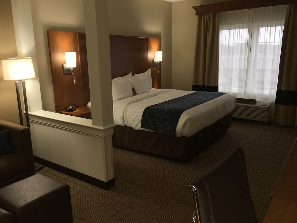 Suite, 1 King Bed - Photo 5