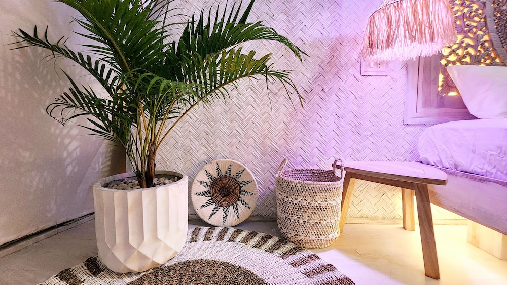 The Cocoon - Photo 3