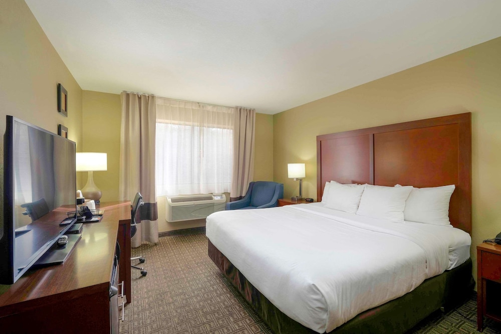 Room, 1 King Bed, Accessible, Non Smoking - Photo 2
