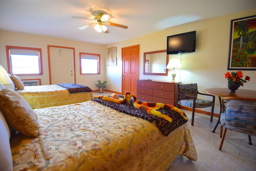 Comfort Double Room, 2 Queen Beds photo 1