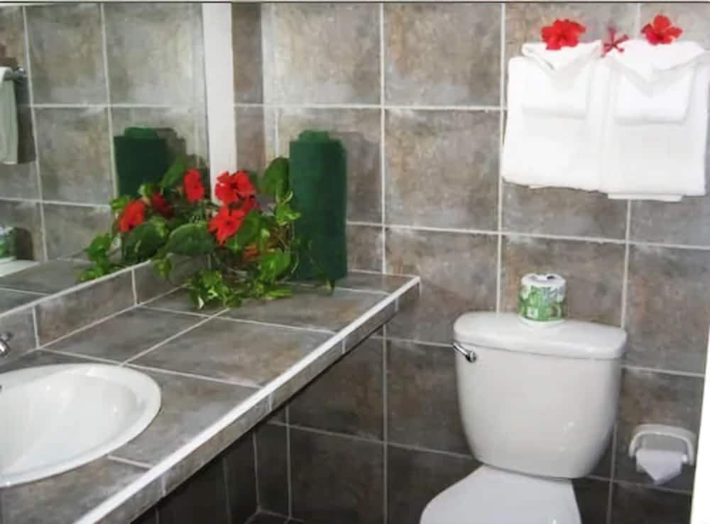 Superior Villa, 1 Bedroom, Kitchen, Ocean View photo 3