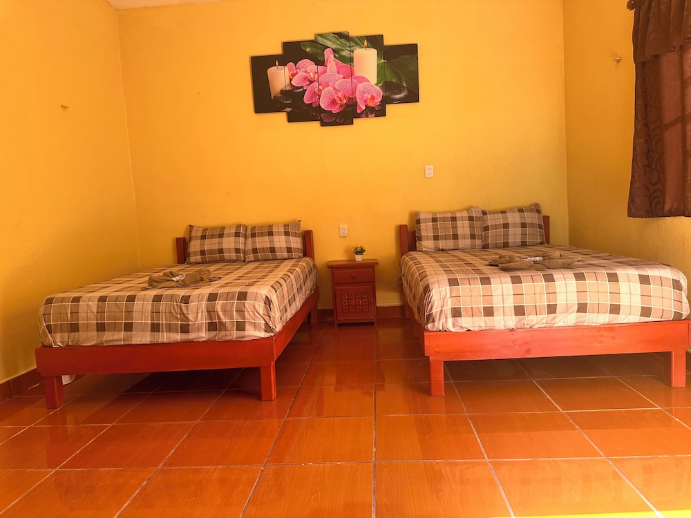Basic Double Room