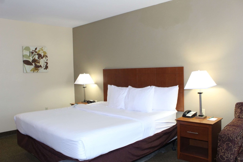 Room, 1 King Bed with Sofa bed, Non Smoking photo 1