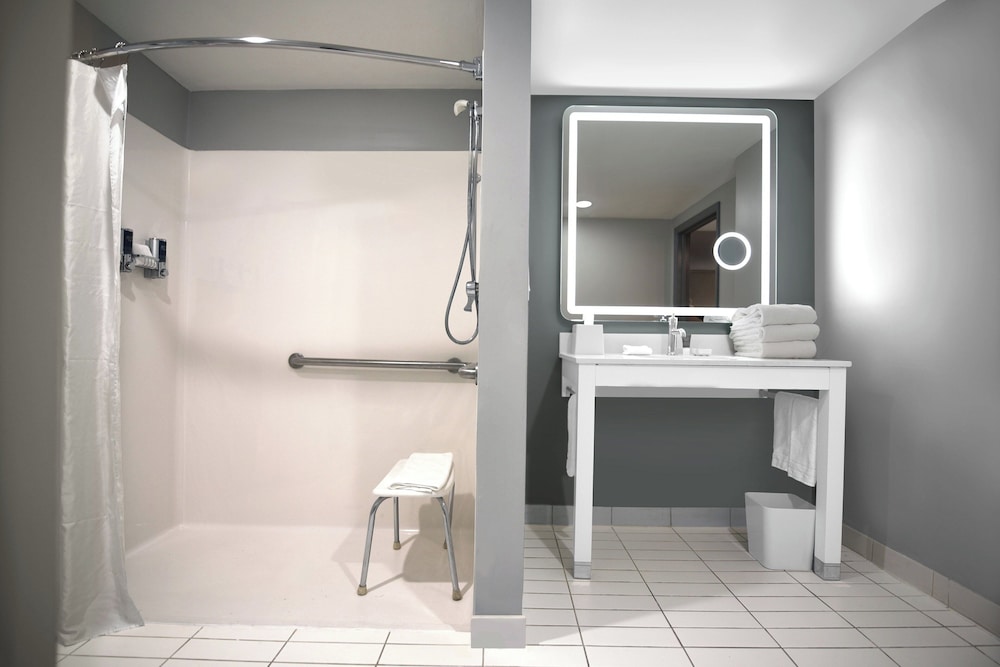 Suite, 1 Bedroom - Photo 4
