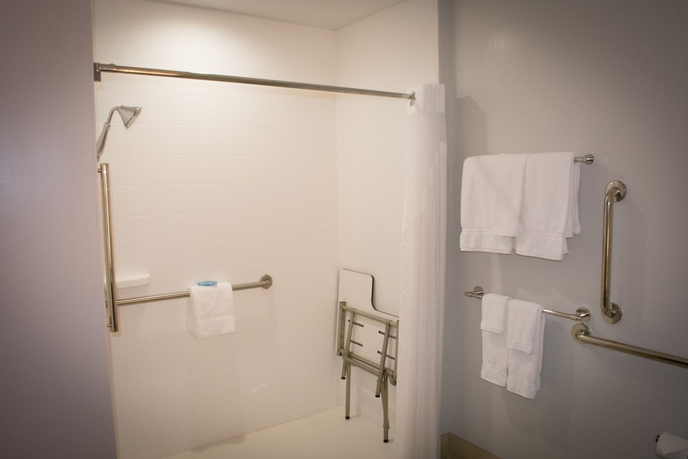 Standard Room, 1 King Bed, Roll-in Shower (Communications, Roll-In Shower) photo 3
