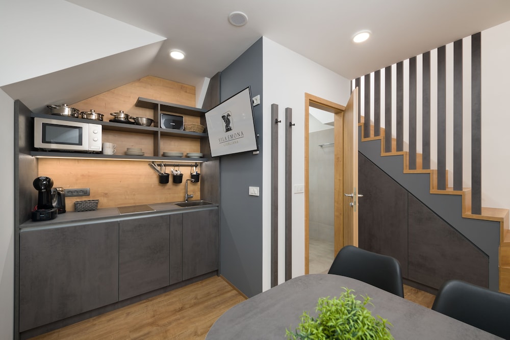 Duplex Attic Studio (Apt.10)