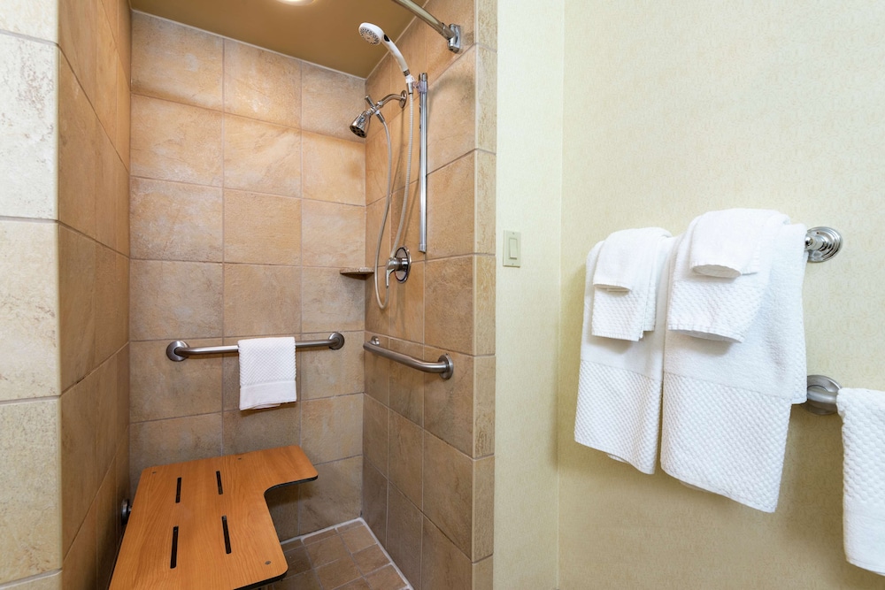 Room, 1 Queen Bed, Accessible (Mobility & Hearing, Roll-in Shower) - Photo 5