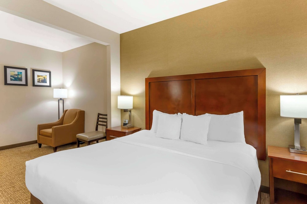 Room, 1 King Bed, Non Smoking (Pet Friendly) - Photo 1