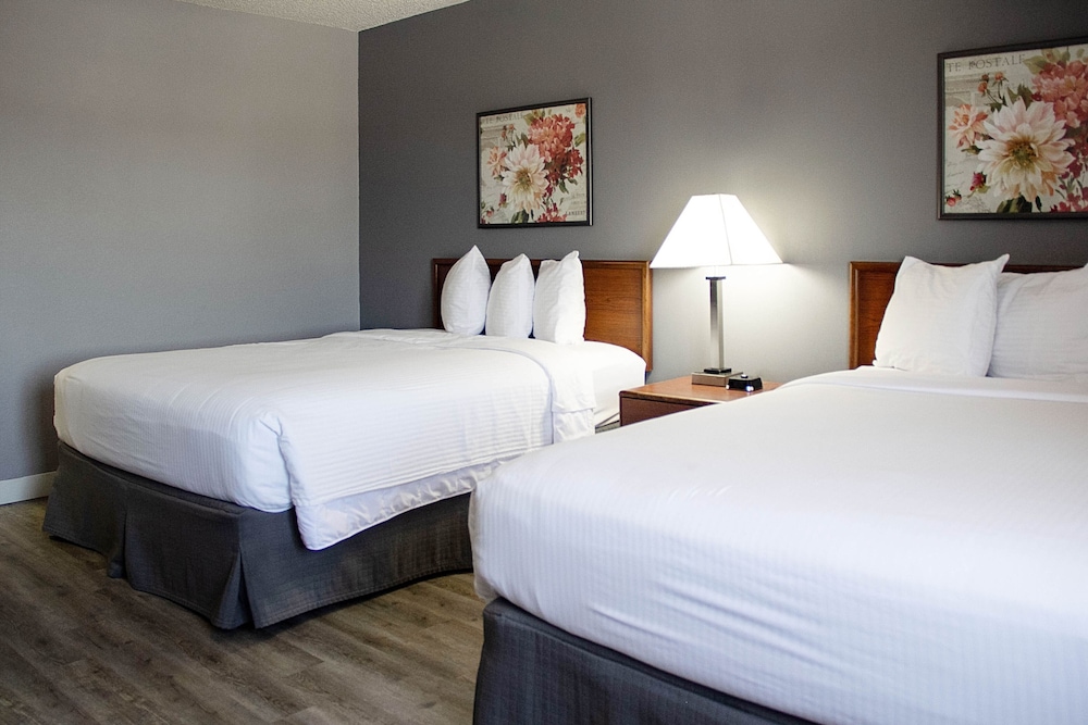Superior Room, 2 Queen Beds photo 1