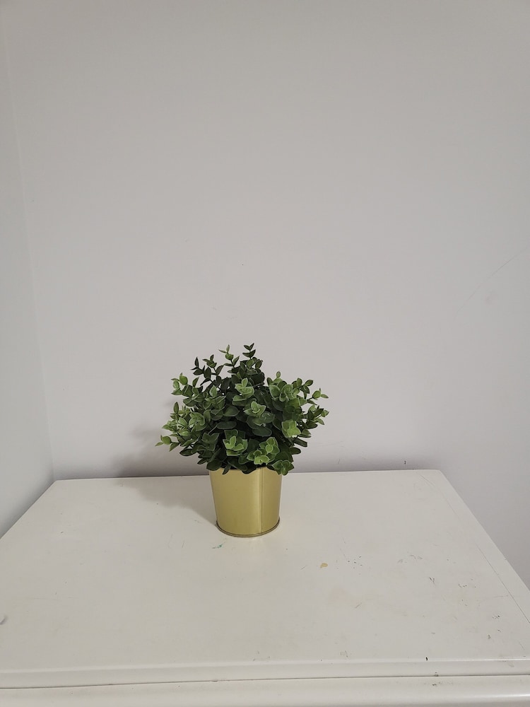 Basic Double Room - Photo 6