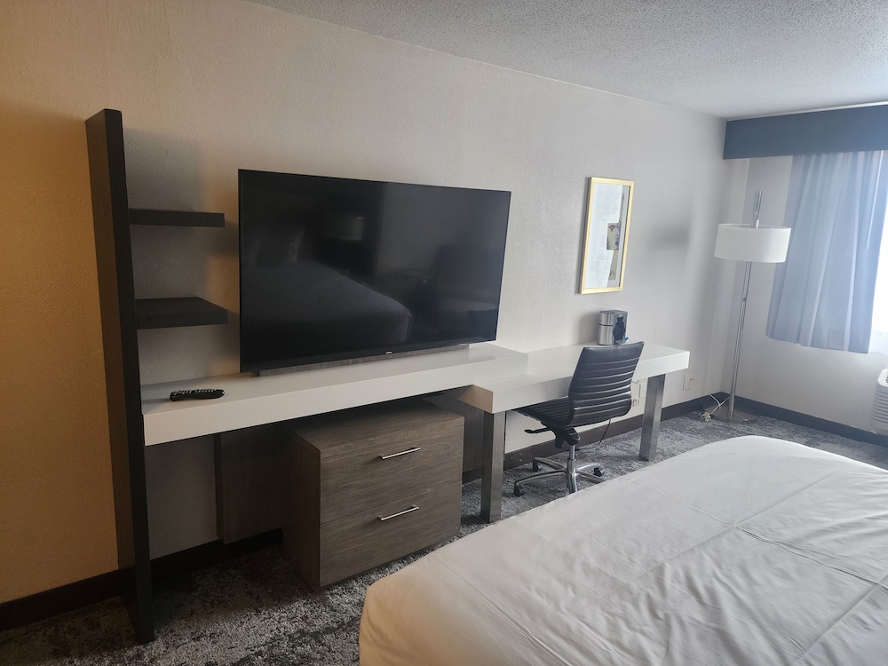 Suite, 1 King Bed, Non Smoking (With Single Sofabed) photo 2