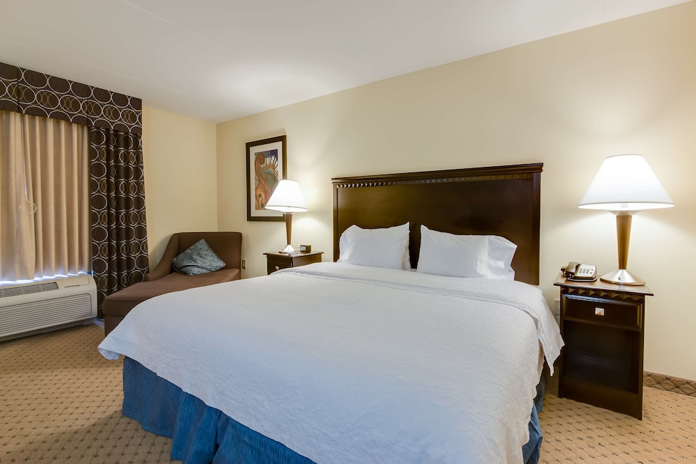 One King Bed, Non-Smoking, Accessible - Photo 4