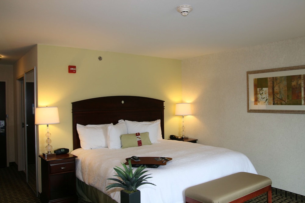 Room, 1 King Bed