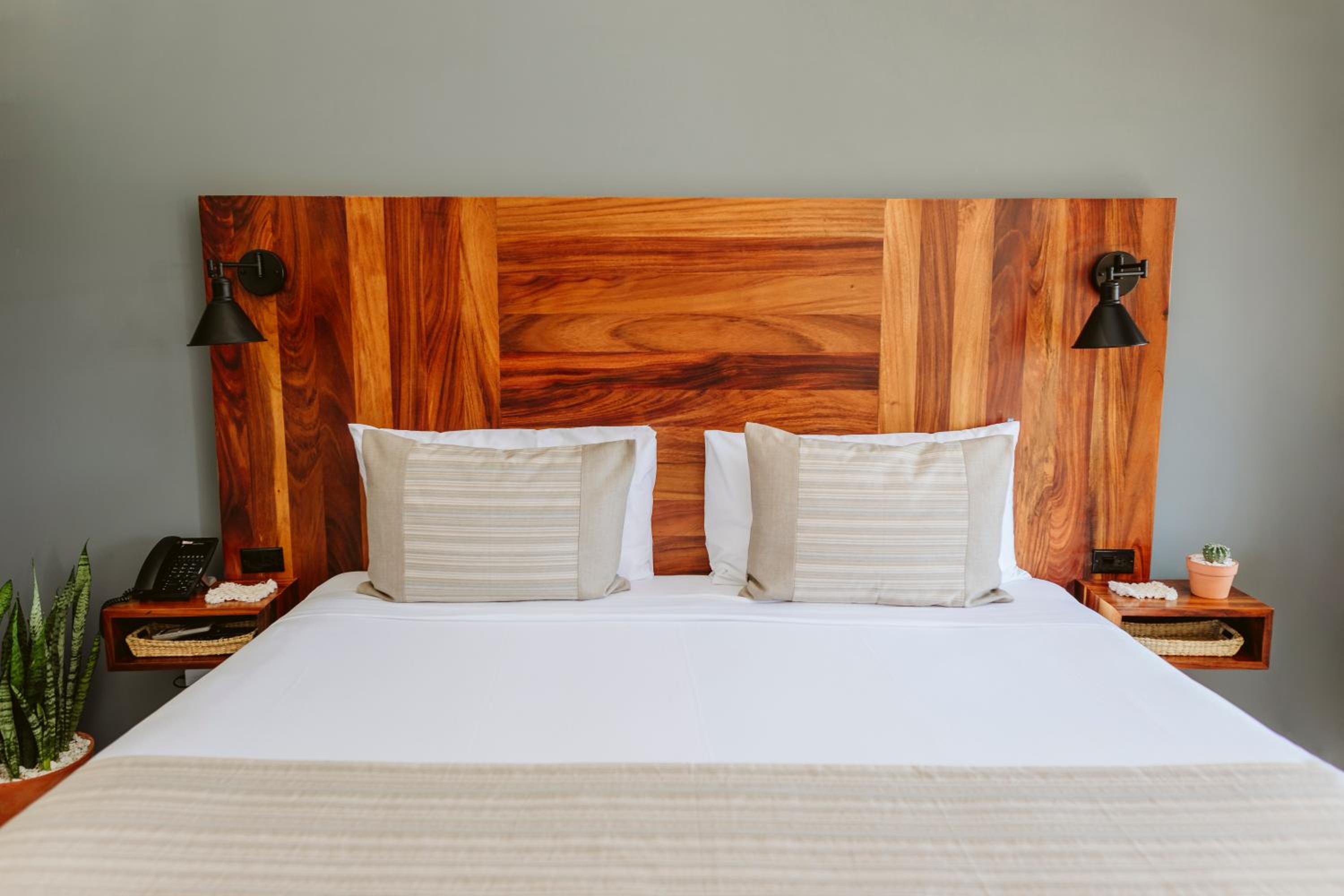Standard King Room - Photo 5