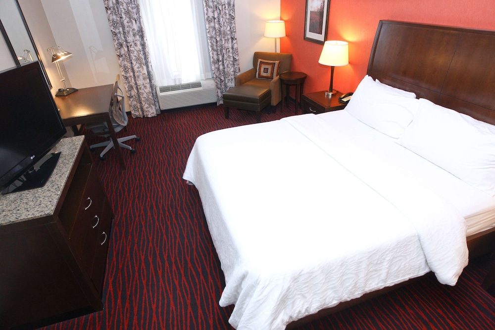 Room, 1 King Bed (Evolution) - Photo 1