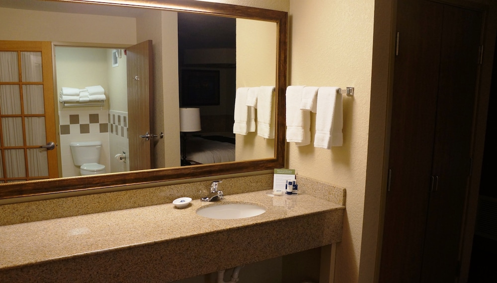 Premier Suite, 1 King Bed, Non Smoking photo 3