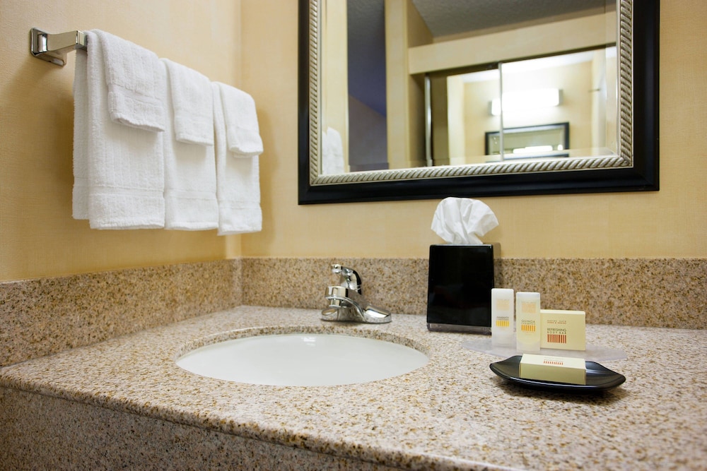 Suite, 1 Bedroom - Photo 6