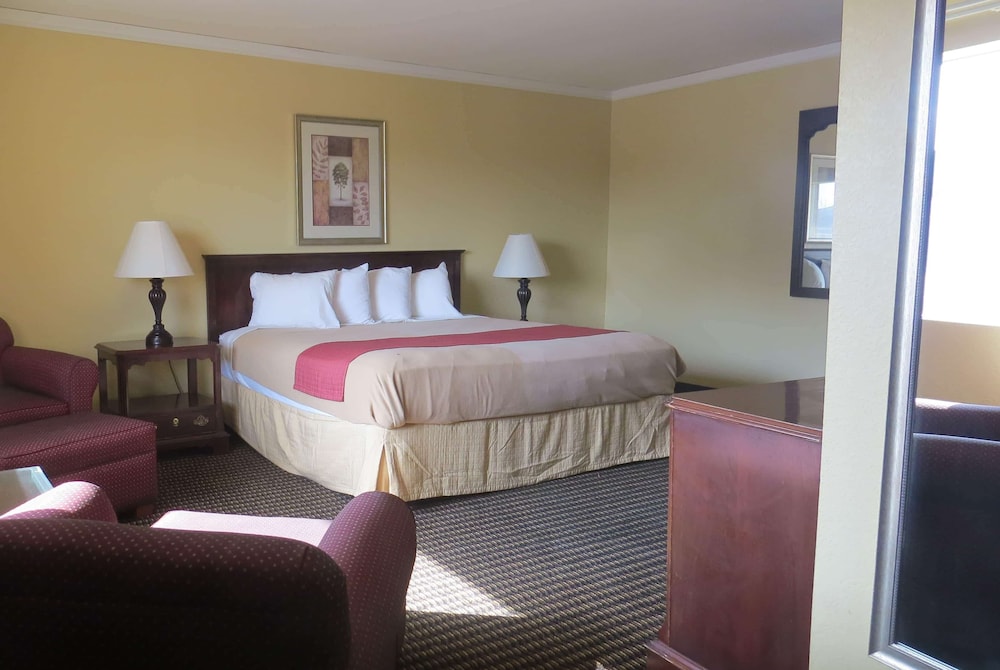 Room, 1 King Bed, Non Smoking - Photo 4