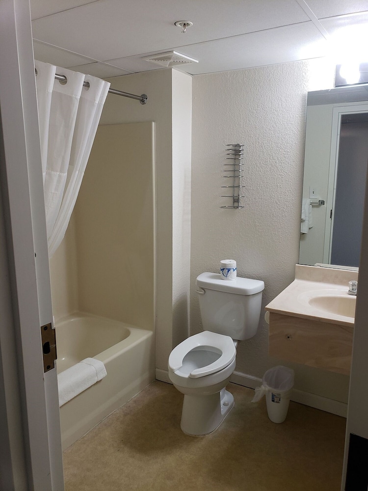 Standard Studio, 1 King Bed, Pool View photo 2
