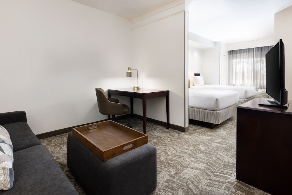 Suite - Photo 4