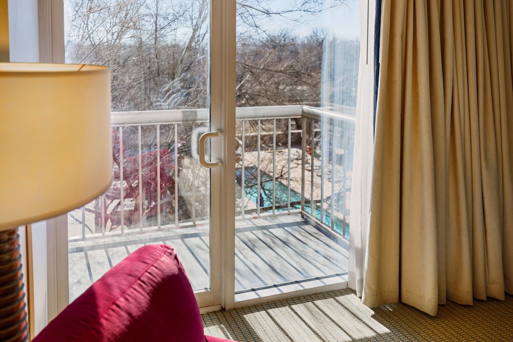 Suite, 1 Bedroom - Photo 4