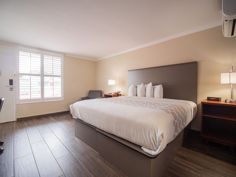 Junior Room, 1 King Bed - Photo 3