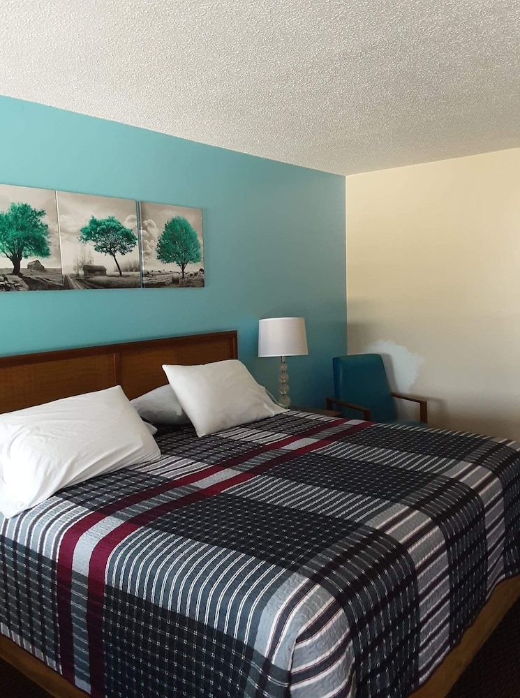 Room, 1 King Bed