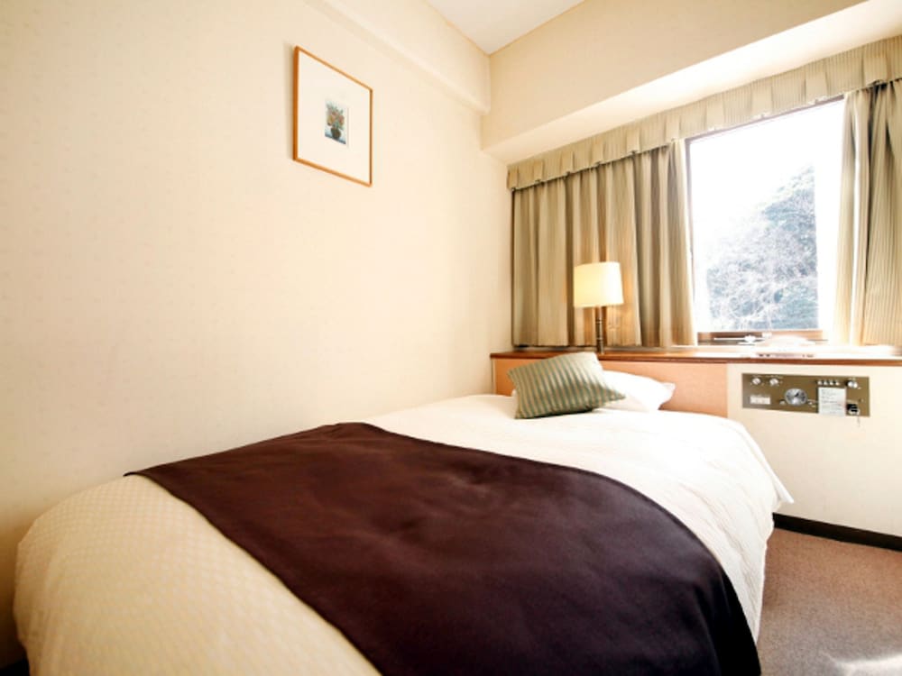 Single Room, Smoking photo 3