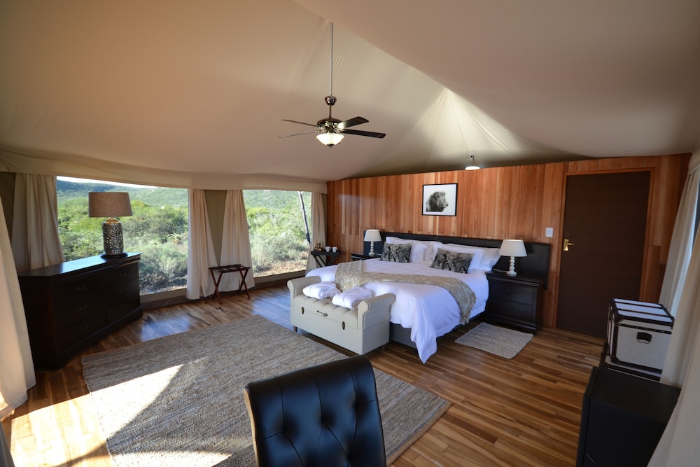 Deluxe Double or Twin Room photo 2
