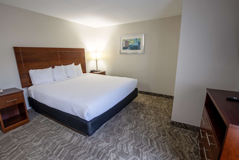 Suite, 1 King Bed, Non Smoking, Jetted Tub (Presidential) photo 1