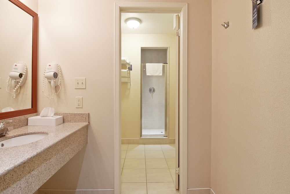 Suite, 1 King Bed, Jetted Tub - Photo 8