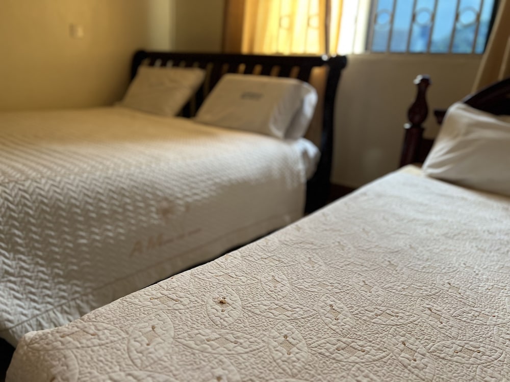 Twin Room photo 2