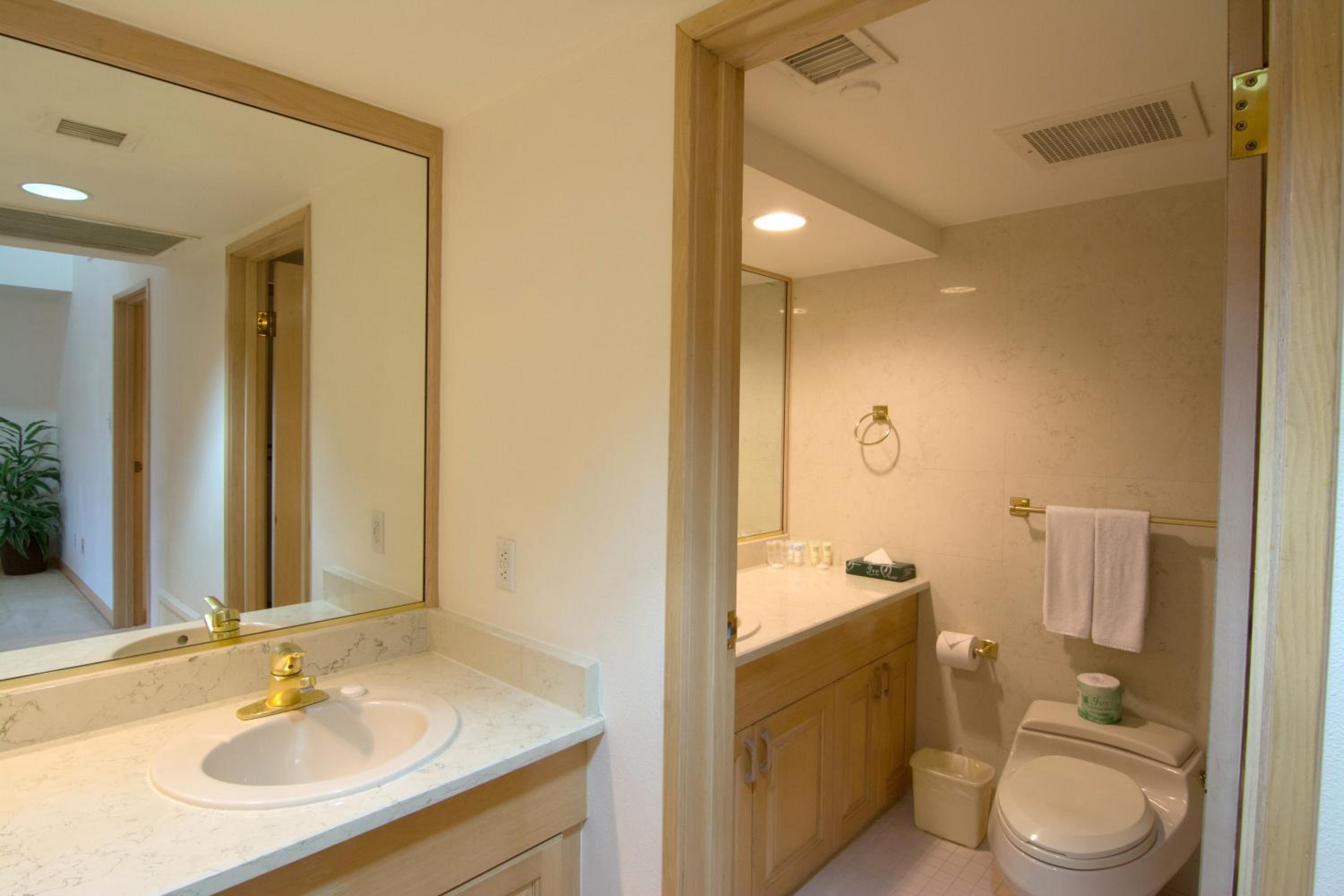 Executive Suite (Executive Penthouse Suite) photo 2