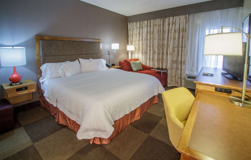 One King Bed, Non-Smoking, Accessible photo 2