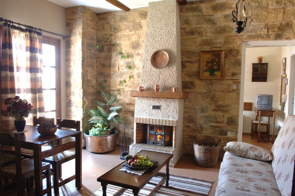 Traditional Room, Fireplace photo 3