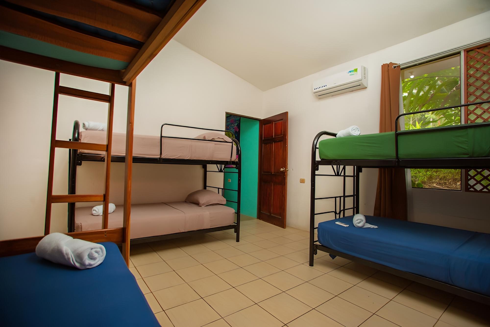 Exclusive Shared Dormitory photo 1