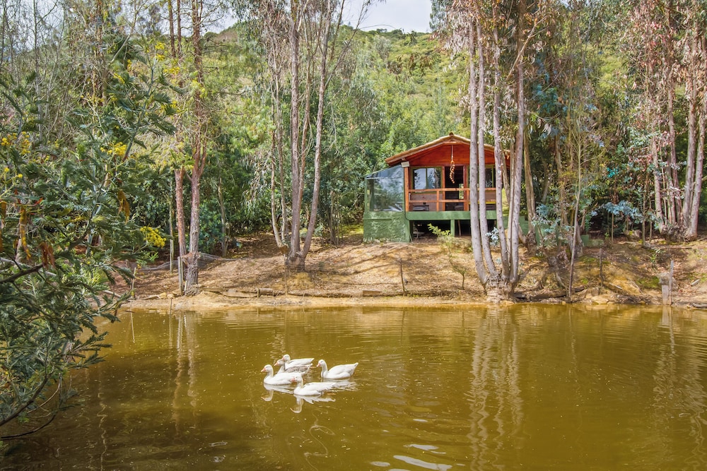 Comfort Cabin, 1 Queen Bed, Balcony, Lake View photo 2