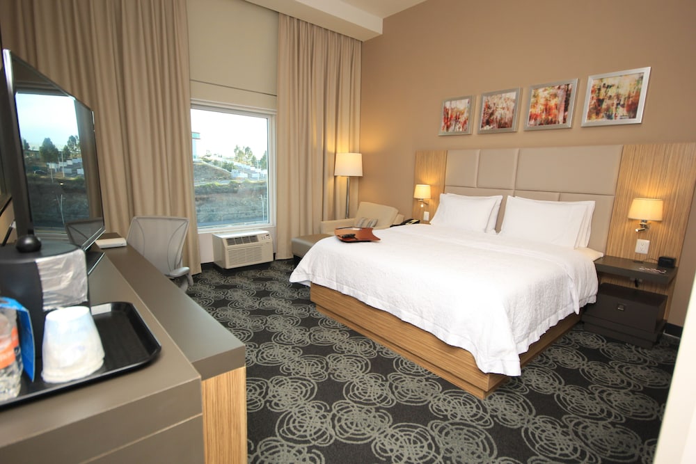 Room, 1 King Bed, Non Smoking photo 3