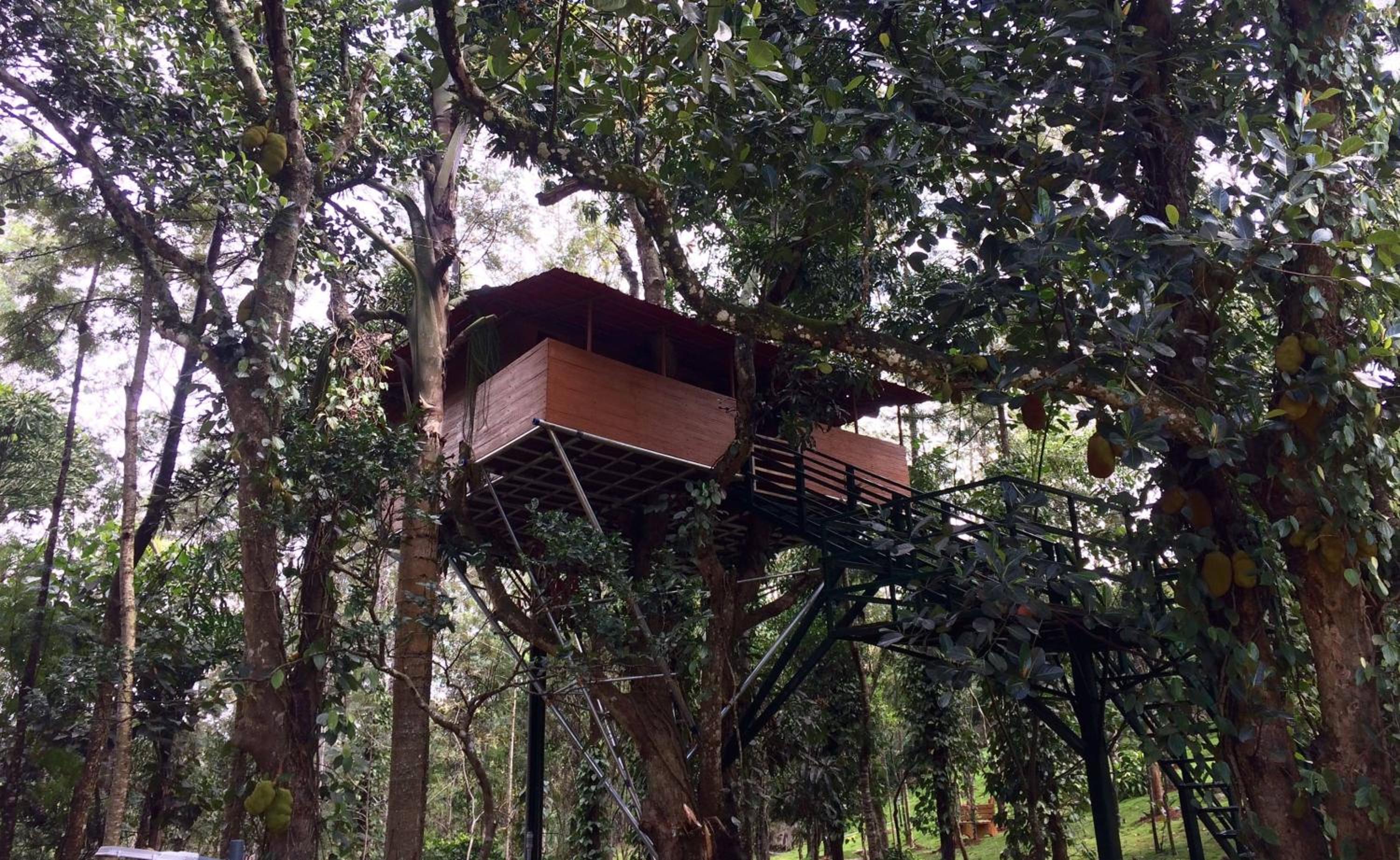 Tree Top Villa