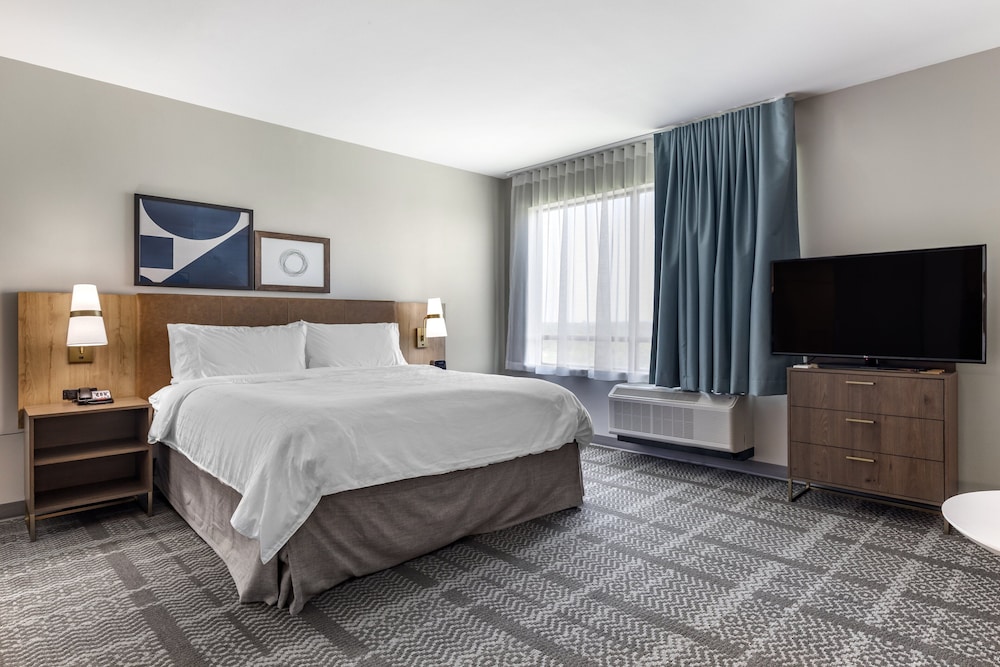 Studio Suite, 1 King Bed with Sofa bed, Accessible Bathtub, Kitchen (Accessible Tub) - Photo 3