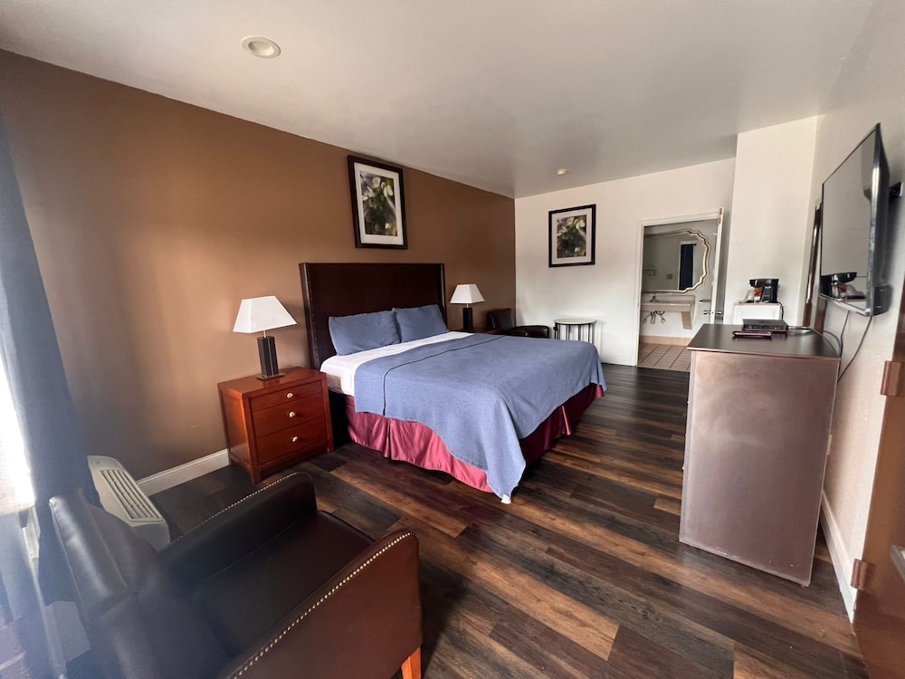 Room, 1 King Bed, Non Smoking photo 2