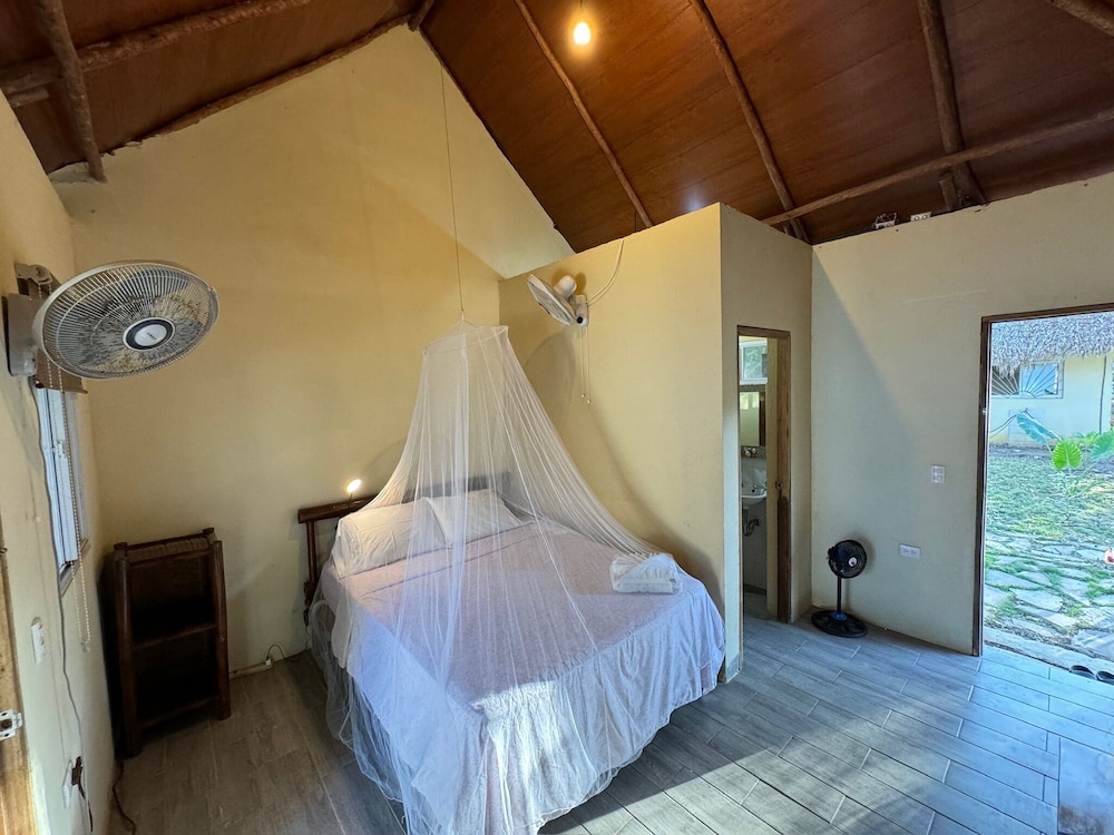 Classic Room, Garden View photo 2
