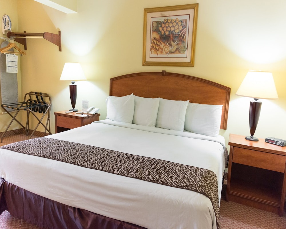 Standard Room, 1 King Bed, Non Smoking photo 3